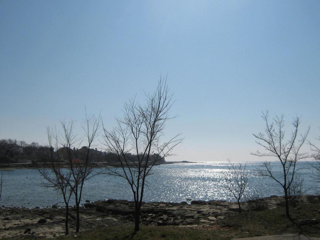 Apartments Spert Umag Exterior foto